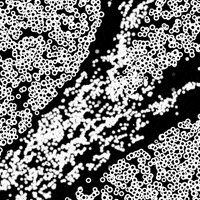 Black And White Loop GIF by xponentialdesign