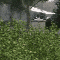 Honda Wheelie GIF