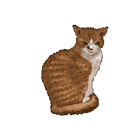 Karasiki Sticker