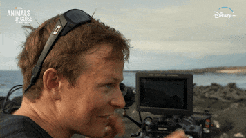Nat Geo Ocean GIF by National Geographic Channel