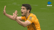 Player No GIF by MolaTV