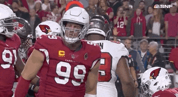 Arizona Cardinals Football GIF by NFL
