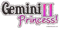 gemini STICKER
