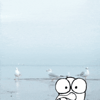 Strand Ostsee GIF by Mundstueck