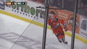 dowd steelers19 GIF by Sheff_Steelers