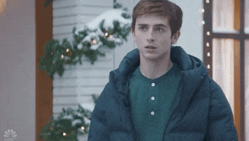 Timothee Chalamet What GIF by Saturday Night Live