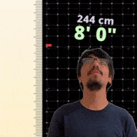 8' 0"