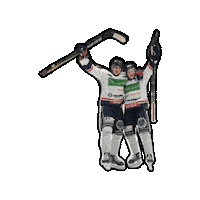 Hockey Hug Sticker by WhiteHawks