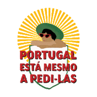 Super Bock Roadtrip Sticker by Cerveja Sagres