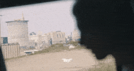 Pressure GIF by Machine Gun Kelly