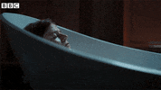 Slide Away Rose Leslie GIF by BBC