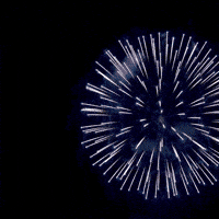New Years Fireworks GIF