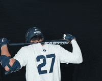 Ncaa Baseball GIF by BYU Cougars
