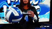 Wave Volleyball GIF by GreenWave
