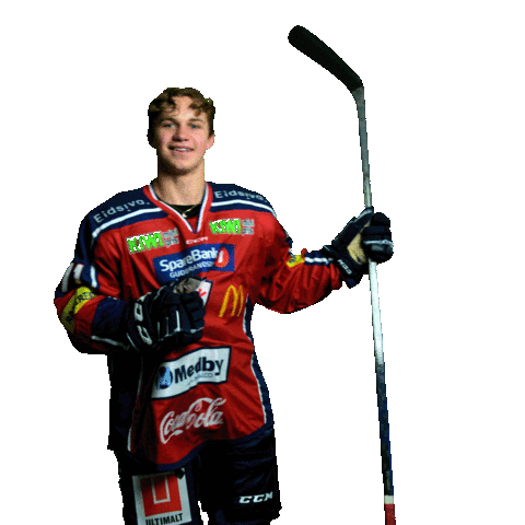 Lillehammerik Sticker by Lillehammer Ishockeyklubb