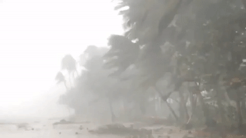 Thousands Evacuated as Typhoon Kammuri Slams Into Eastern Philippines