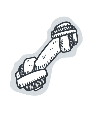 dotsure bone dog toy dotsure dotsurepet Sticker