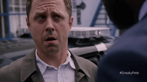 season 2 GIF by Sneaky Pete