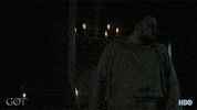 season 7 hbo GIF by Game of Thrones