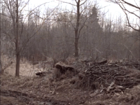 nickrewind nicksplat are you afraid of the dark the tale of the frozen ghost GIF