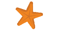 Star Sticker