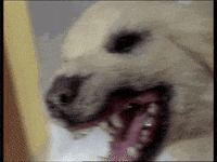 Fail Space Precinct GIF by GerryAndersonTV