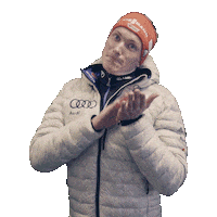 Benedikt Doll Wow Sticker by Viessmann Sport