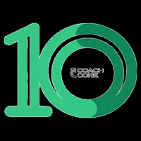 Celebration Sparkle GIF by Coach Core