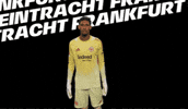 Come On Bundesliga GIF by Eintracht Frankfurt