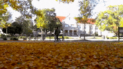 chapel hill fall GIF