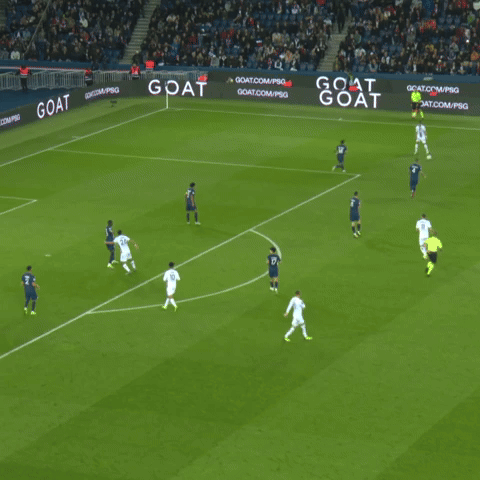 Le but de Laborde à Paris