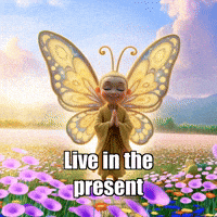 Buddhafly Character GIF by BuddhaFlyJourney