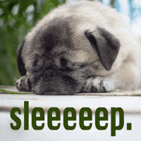 Tired Rise And Shine GIF by Sealed With A GIF