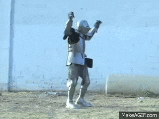 Ridder GIF