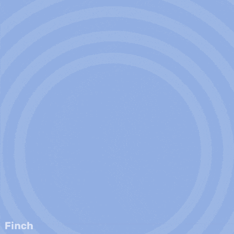 Celebrate Happy Sunday GIF by Finch Care