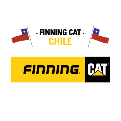 Finning giphyupload finning sudamerica finning cat finningcat Sticker