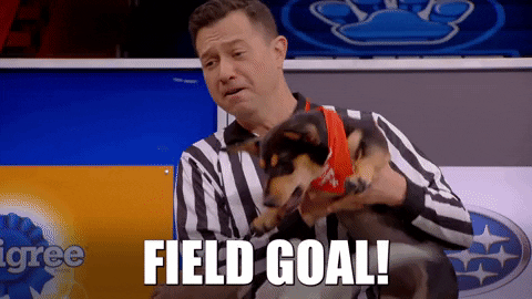 Animal Planet Goal GIF by Puppy Bowl