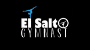 Gymnastics GIF by El Saltogym