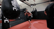 Episode 8 Mma GIF by UFC