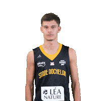 Basket Sticker by Stade Rochelais