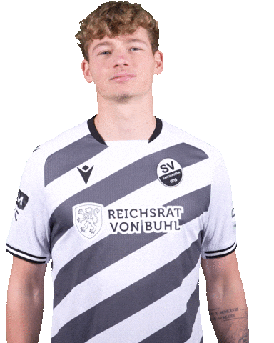 3Liga Wirechtanders Sticker by SV Sandhausen