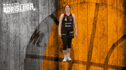 Basketball Hoops GIF by Basket_fi