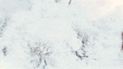 snow wisconsin GIF by uwmadison