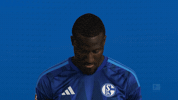 Look Up Schalke 04 GIF by Bundesliga