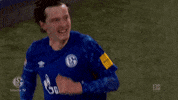 Football Soccer GIF by FC Schalke 04