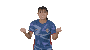 North Carolina Courage Sport Sticker by National Women's Soccer League