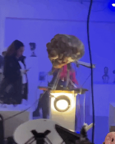 Show Performance GIF by Alex Boya