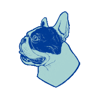 Beer Brasserie Sticker by Brique House Brewery