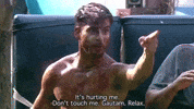 Gg Roadies GIF