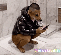 Toilet Izlemek GIF